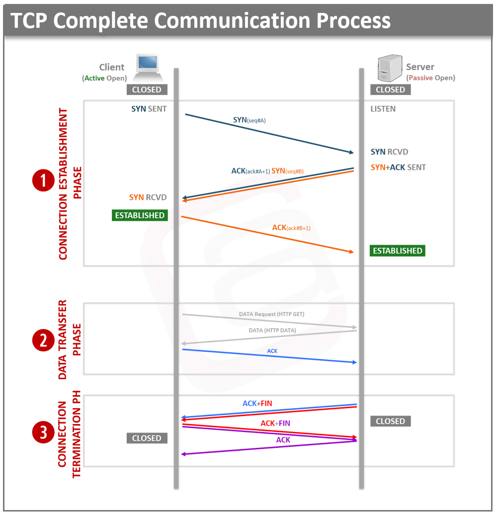 Header TCP